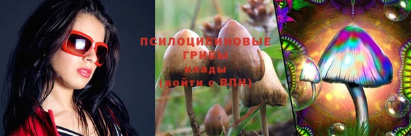 спиды Лиски