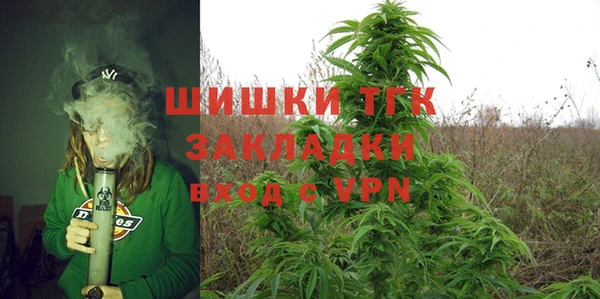 спиды Лиски