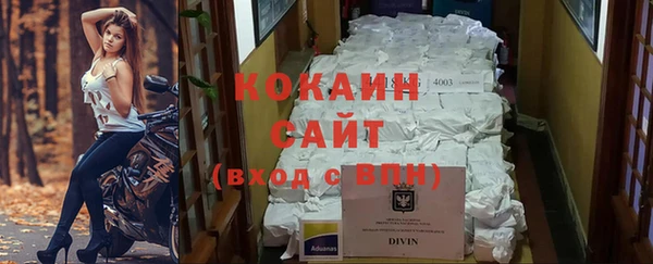 спиды Лиски