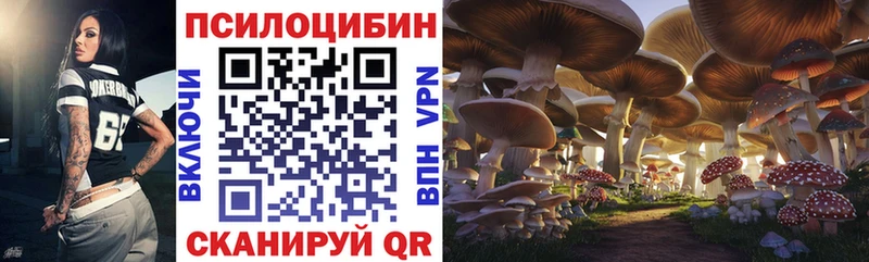 Купить закладки  Оха  Галлюциногенные грибы Psilocybine cubensis 